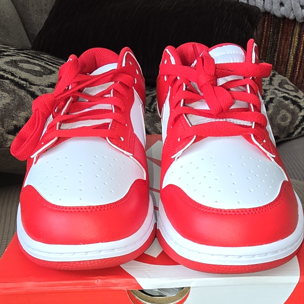 Nike Dunk Low Retro 11.5